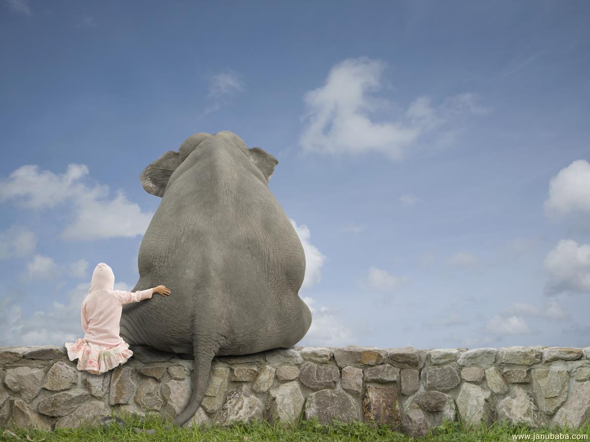 Elephant & Kid By Hubbak