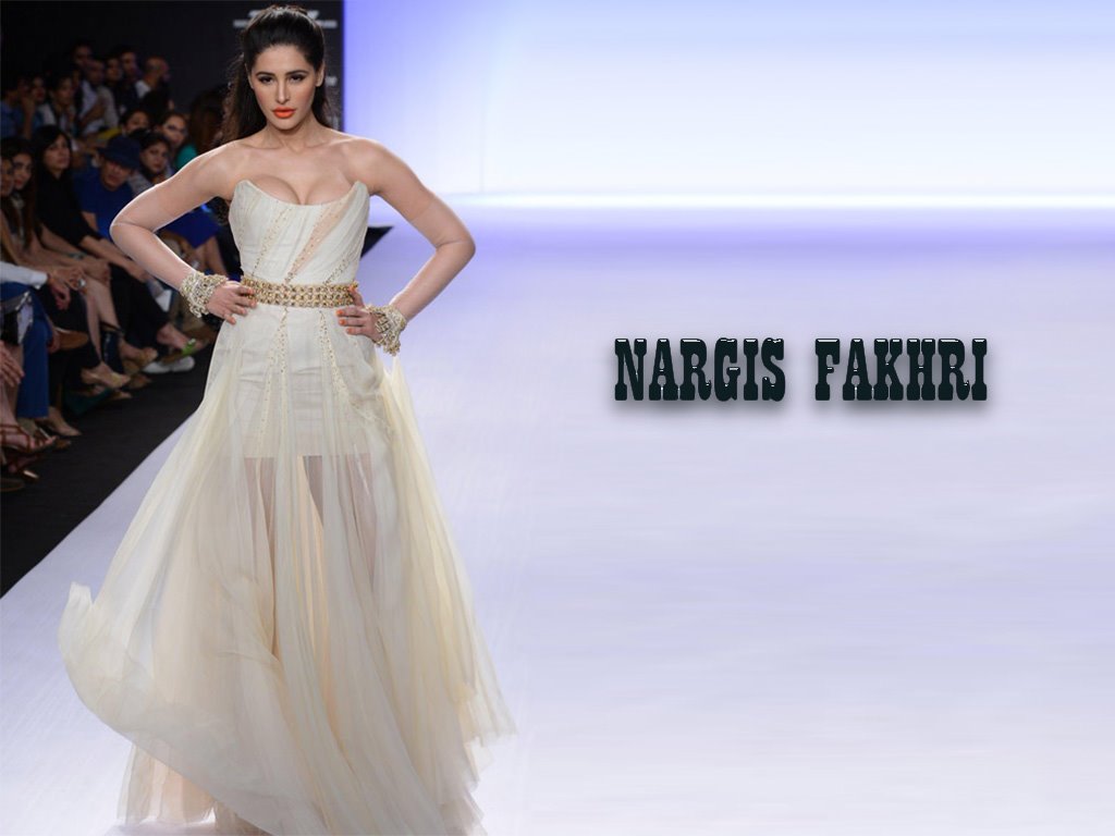Nagis Fakhri       by coolman