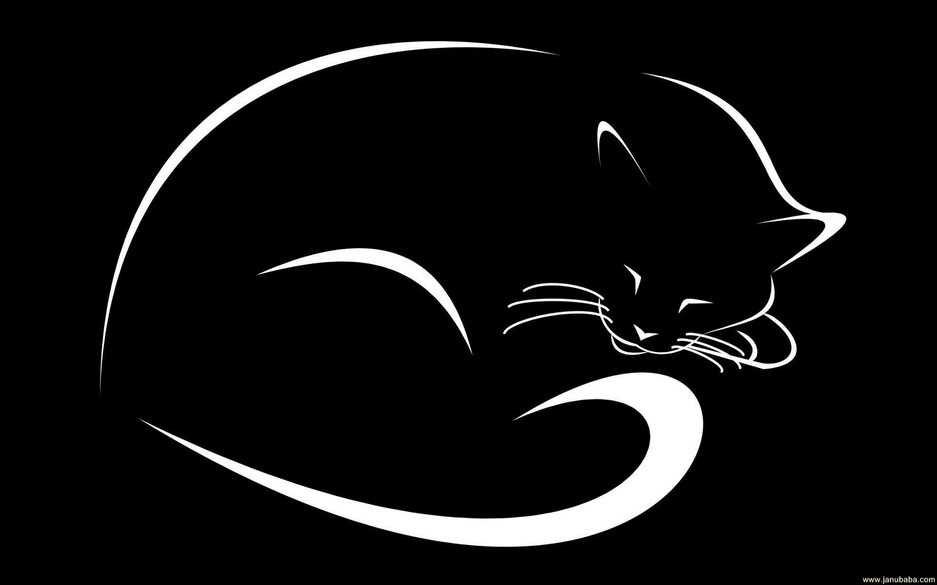 Cat By Hubbak