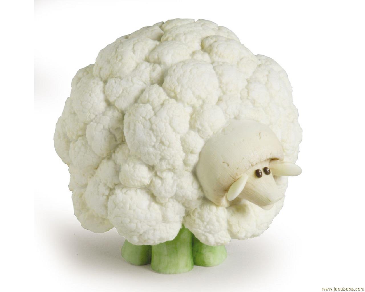 Sheep