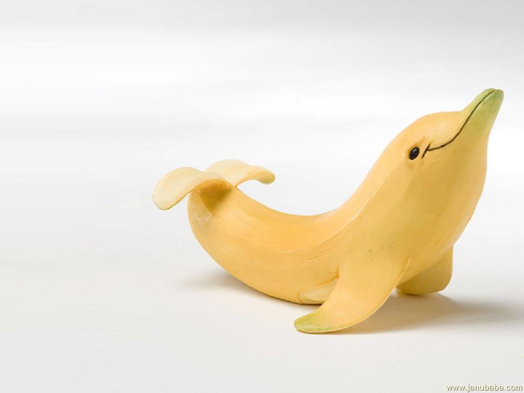 dolphin 