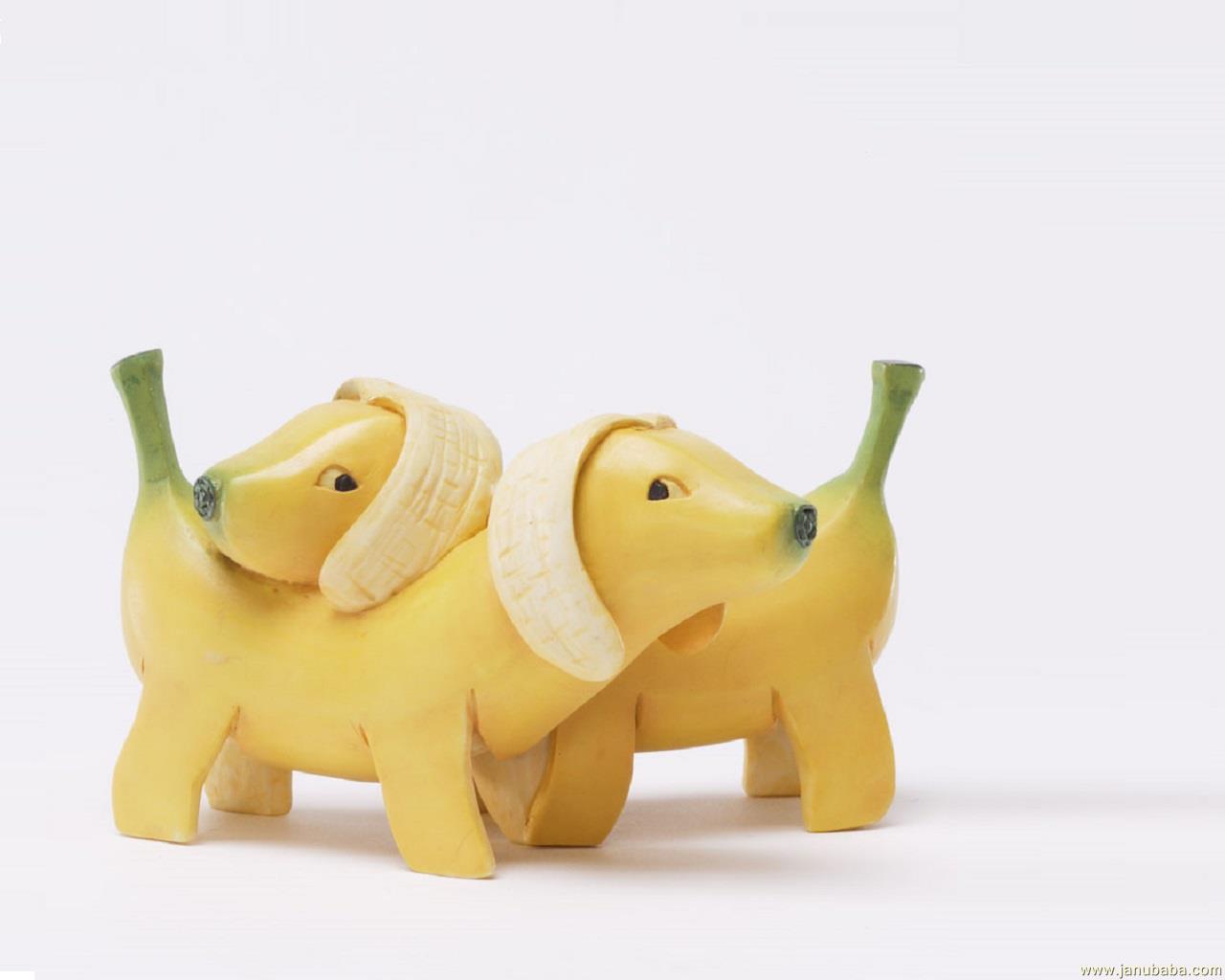 Dogs