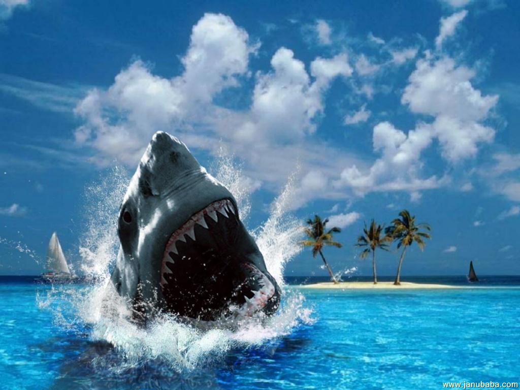 Jaws