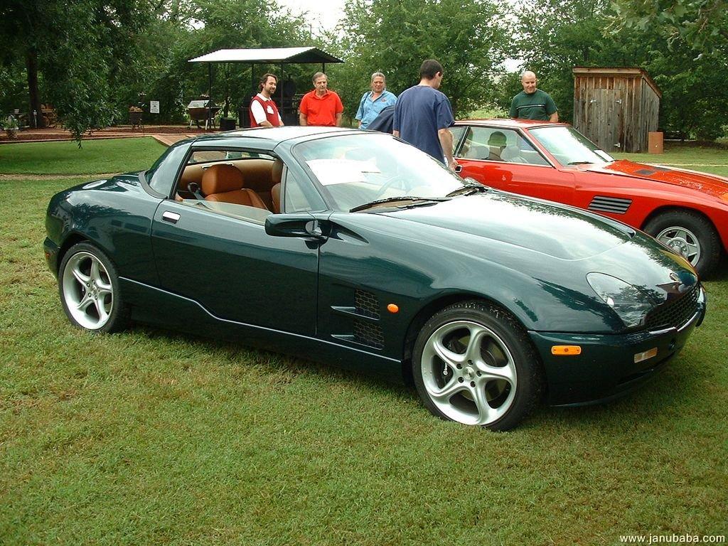 Qvale Mangusta                                                                                                    by cheema