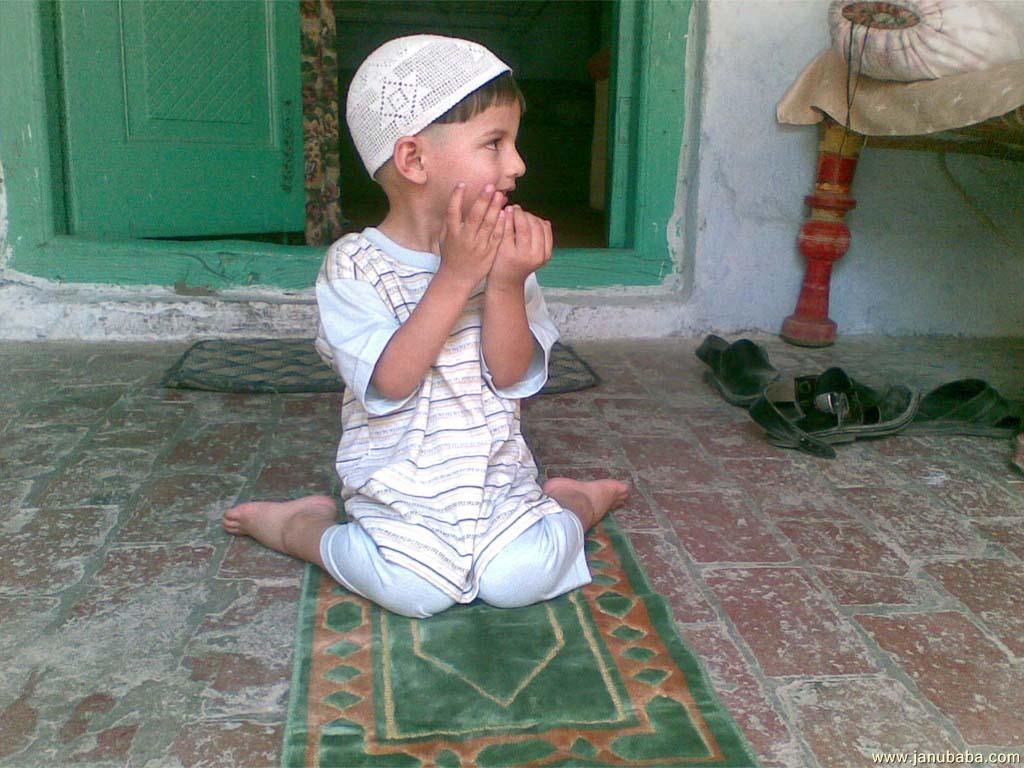 M. Awais from Mardan Pakistan