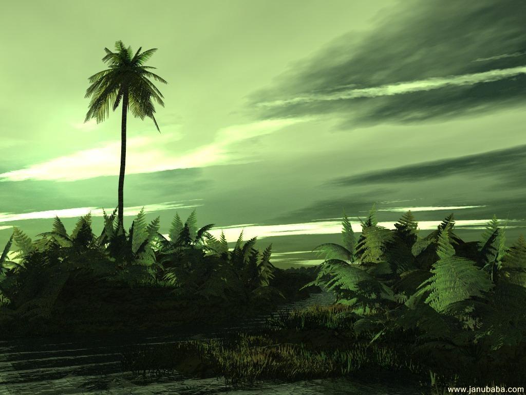 Palm