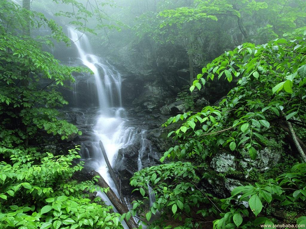 Waterfall