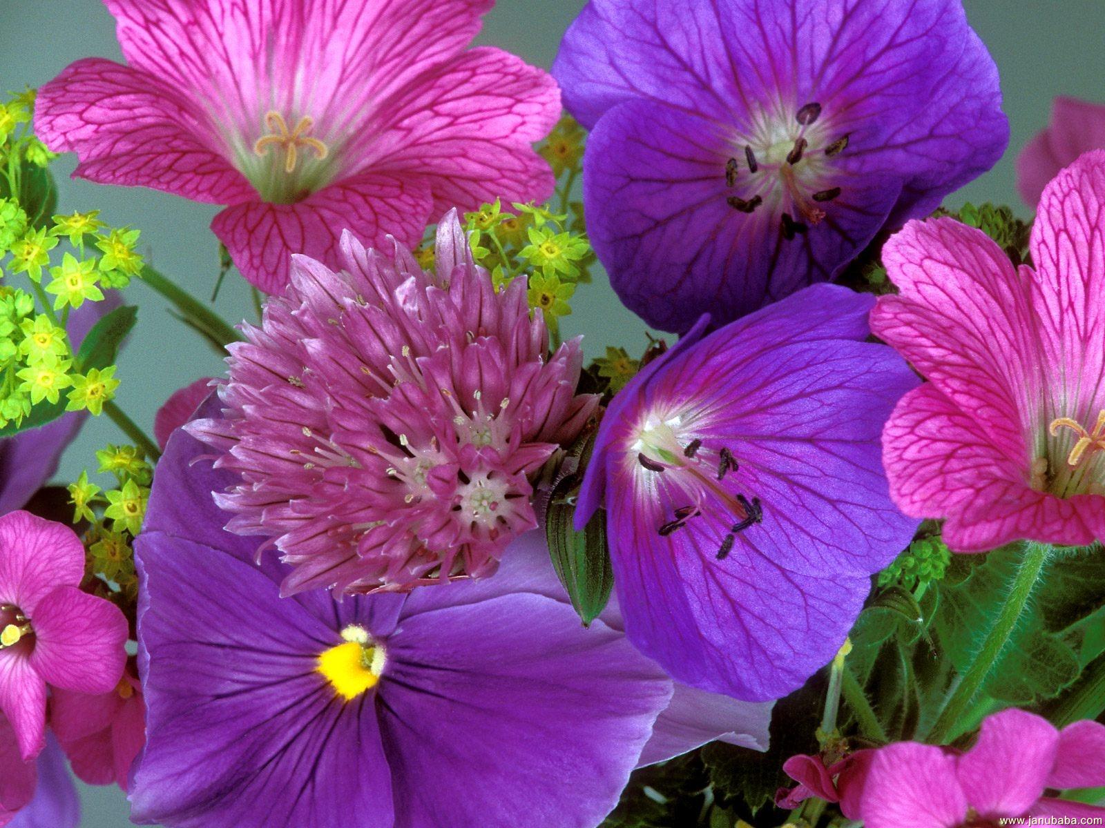 Flowers