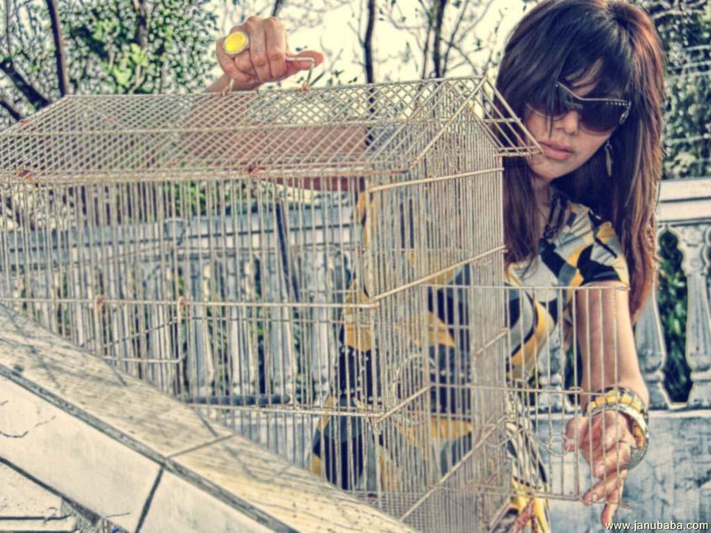 Hadiqa Kiani               by coolman