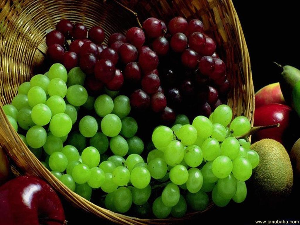 Fruits